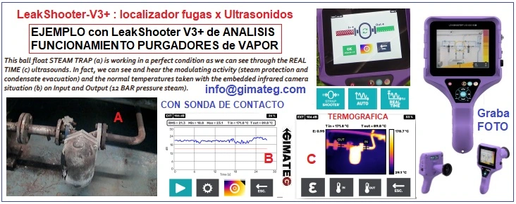 Eficiencia energetica instalacion vapor LeakShooter V3+